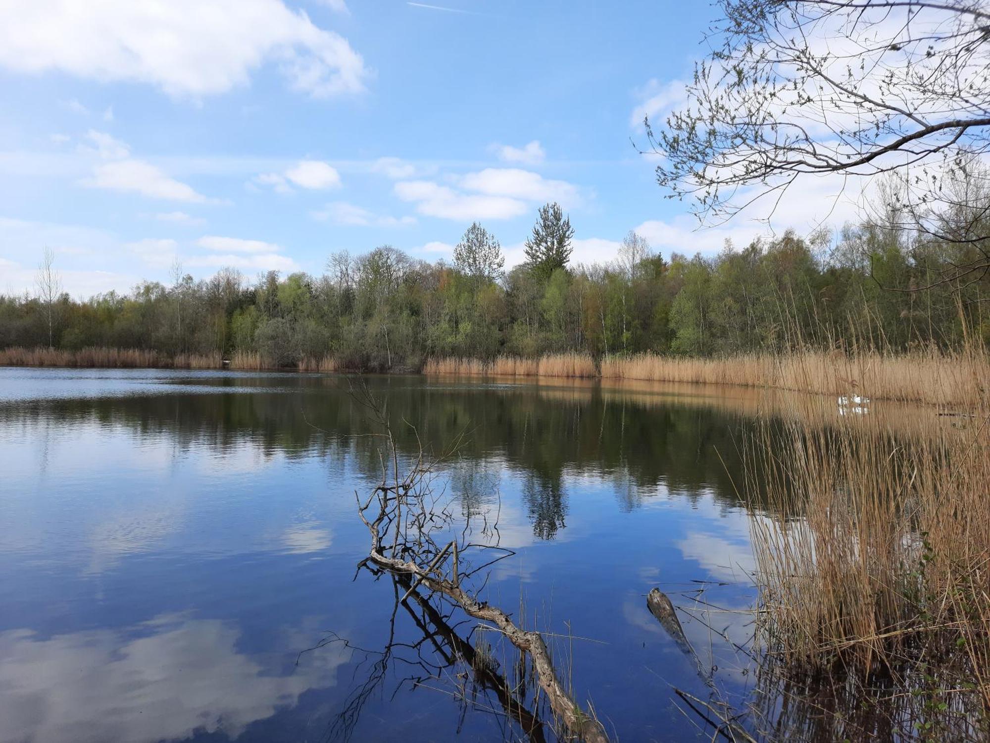 Ferienhaus Am See Goch Kessel חדר תמונה